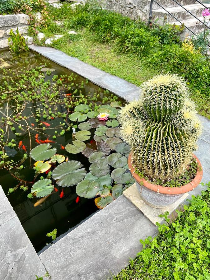 Villa Del Lis Gargnano Luaran gambar